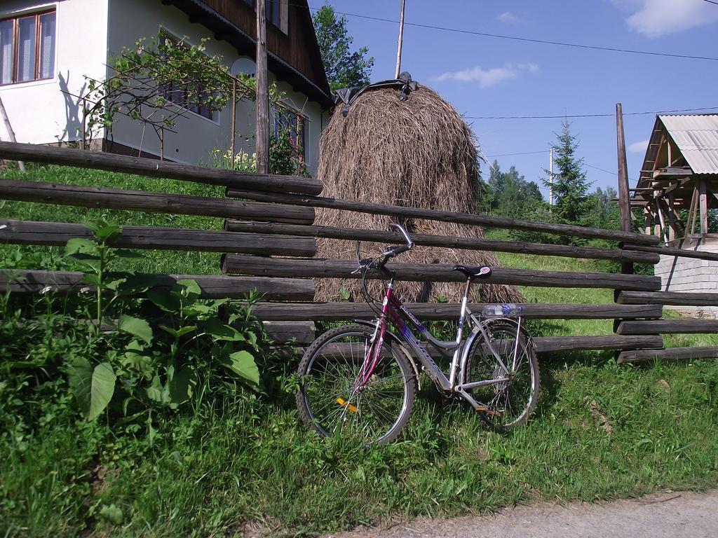 Guesthouse U Dida Viktora Jaremče Esterno foto